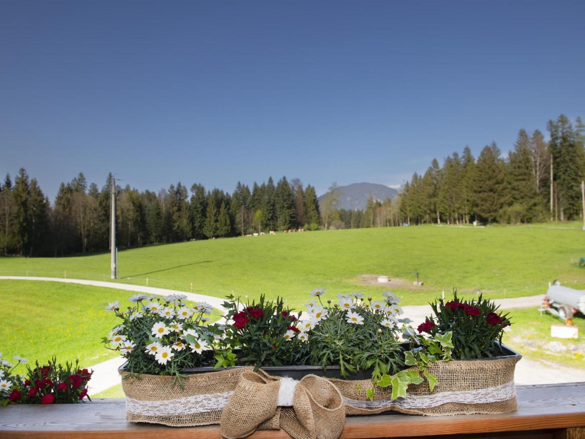 Ferienwohnung Auszeit Am Bauernhof Schwoich Exterior foto