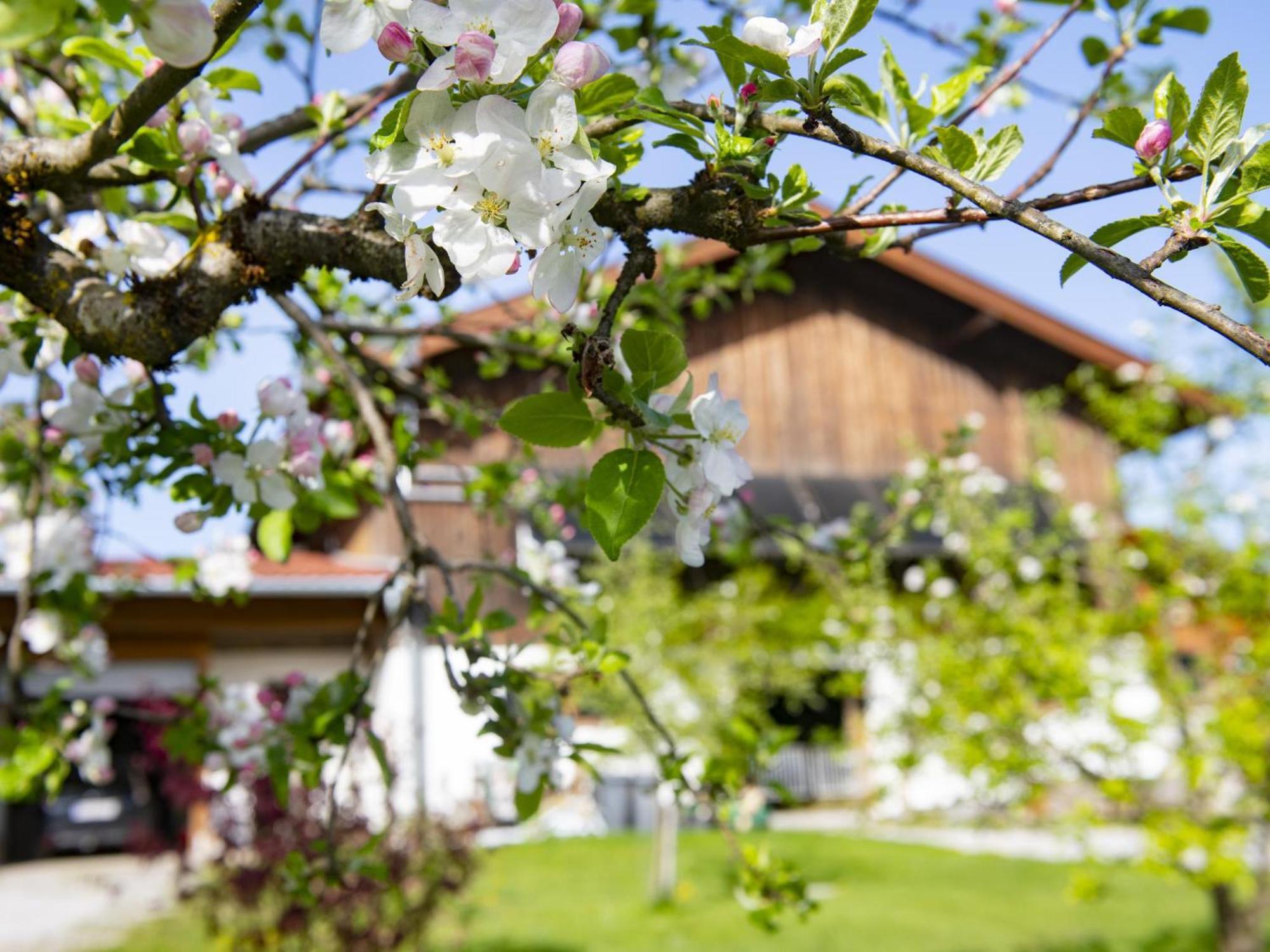 Ferienwohnung Auszeit Am Bauernhof Schwoich Exterior foto